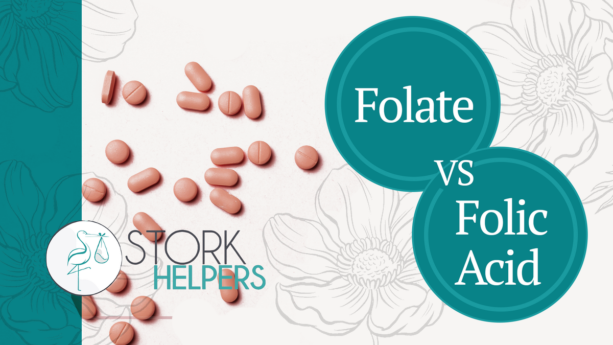 Folate Vs. Folic Acid Prenatal Vitamins: Which is Better? | Stork Helpers